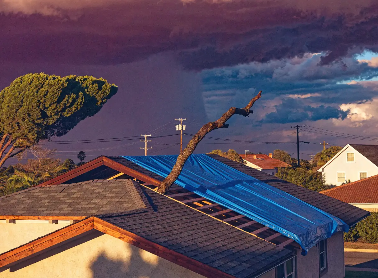 Storm & Wind Damage Repair in Los Angeles